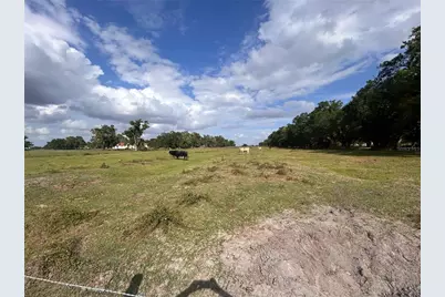 Washington Street, Arcadia, FL 34266 - Photo 8