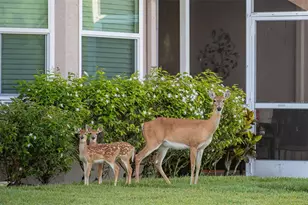 5300 Mahogany Run Ave, Sarasota, FL 34241 - Photo 72