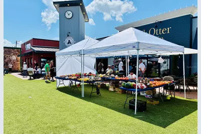 165 Anderson Street, Lake Placid, FL 33852 - Photo 28