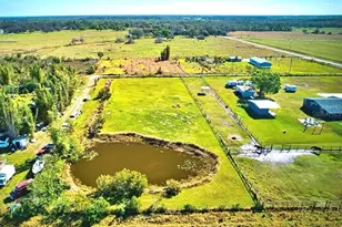 35495 Singletary Rd, Myakka City, FL 34251 - Photo 8