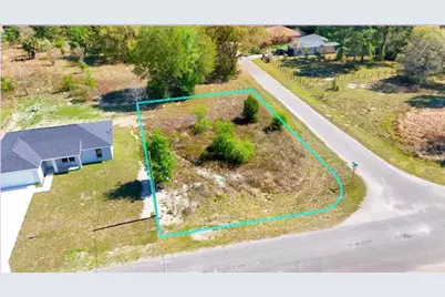 Tbd Corner Lot Fisher Road, Ocklawaha, FL 32179 - Photo 2