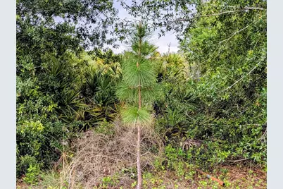 Callaghan Lane, North Port, FL 34291 - Photo 4