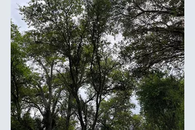 Lot 15 Ananas Road, North Port, FL 34288 - Photo 2