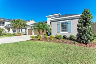 10010 Buckman Halls Dr, Palmetto, FL 34221 - Photo 4