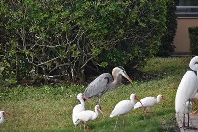 3863 Catalina Drive, Bradenton, FL 34210 - Photo 36