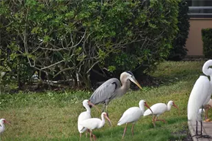 3863 Catalina Dr, Bradenton, FL 34210 - Photo 36