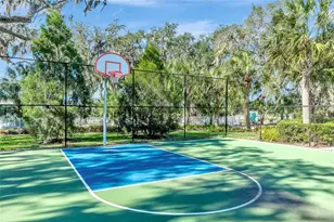 4213 Pine Meadow Dr, Parrish, FL 34219 - Photo 52