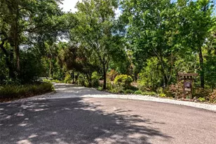 3110 Turkey Walk Ln, Wimauma, FL 33598 - Photo 68