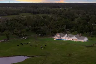 30854 Singletary Rd, Myakka City, FL 34251 - Photo 68