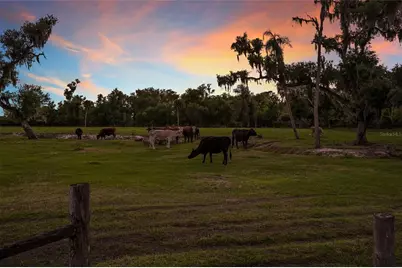 30854 Singletary Road, Myakka City, FL 34251 - Photo 60