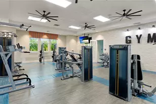 14269 Skipping Stone Loop, Parrish, FL 34219 - Photo 58