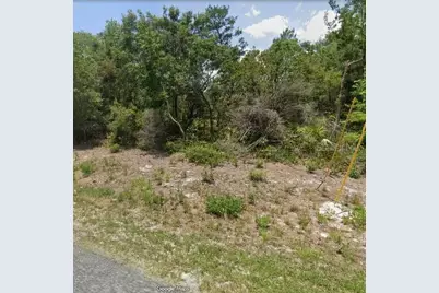 15-17-28-0200-009-00100 Georgia Street, Paisley, FL 32767 - Photo 2