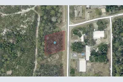 15-17-28-0200-009-00100 Georgia Street, Paisley, FL 32767 - Photo 4