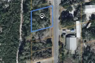 15-17-28-0200-009-00100 Georgia St, Paisley, FL 32767 - Photo 1