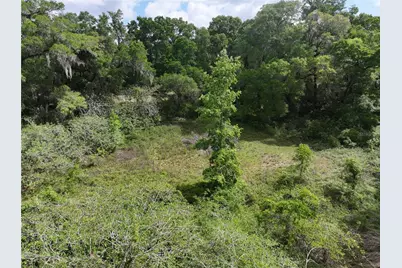 0 NW 38th Street, Reddick, FL 32686 - Photo 8