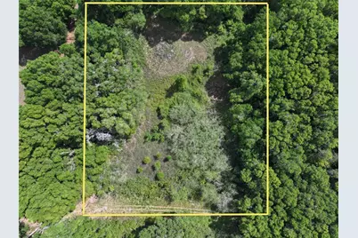 0 NW 38th Street, Reddick, FL 32686 - Photo 2