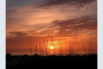 2341 Harbour Oaks Drive, Longboat Key, FL 34228 - Photo 52