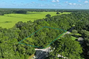 14850 SW 119th Ct, Dunnellon, FL 34432 - Photo 1