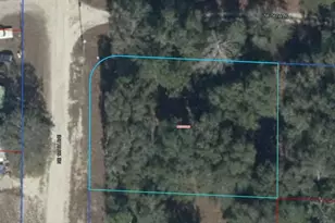 06721-010-00 NE 139th Ave, Williston, FL 32696 - Photo 1