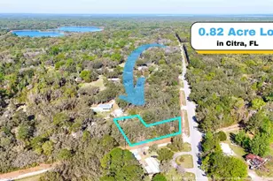 Tbd Corner Lot 175th Street Road NE, Citra, FL 32113 - Photo 1