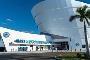 4734 Delmonte Ave, Sarasota, FL 34235 - Photo 32