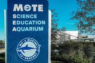 4734 Delmonte Ave, Sarasota, FL 34235 - Photo 38