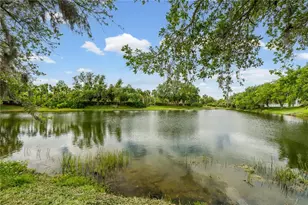 11811 Dunster Ln, Parrish, FL 34219 - Photo 46