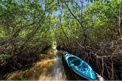 7325 Holly Road, Terra Ceia, FL 34250 - Photo 56