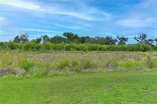 4919 Wedgeleaf Wy, Palmetto, FL 34221 - Photo 6