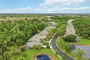 3011 Woodland Fern Dr, Parrish, FL 34219 - Photo 34