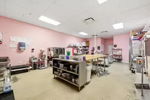 11266 Boyette Roads, Riverview, FL 33569 - Photo 20