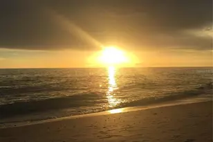 828 S Tuttle Ave, Sarasota, FL 34237 - Photo 58