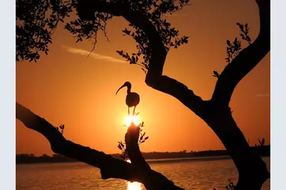 4726 Potomac Circle, Bradenton, FL 34210 - Photo 64