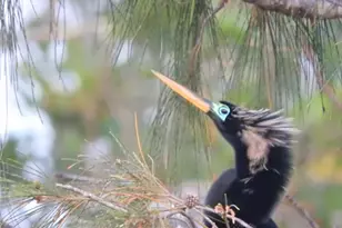 4726 Potomac Cir, Bradenton, FL 34210 - Photo 62