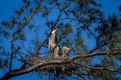 4726 Potomac Circle, Bradenton, FL 34210 - Photo 52