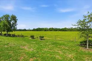 15769 High Bell Pl, Bradenton, FL 34212 - Photo 16