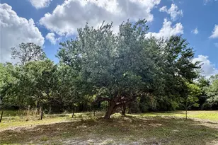 15580 Co Rd 675, Parrish, FL 34219 - Photo 18