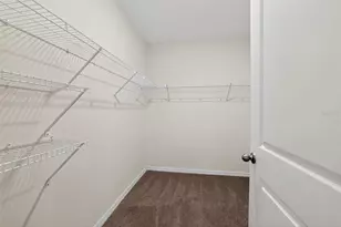 34211 Jasper Stone Dr, Wesley Chapel, FL 33543 - Photo 18