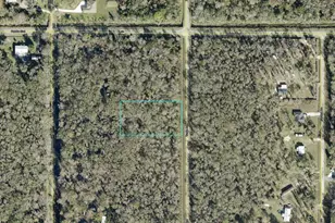 10625 Turpin Ave, Hastings, FL 32145 - Photo 1