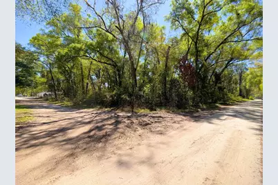 Tbd Corner Lot SE 147th Place, Summerfield, FL 34491 - Photo 2