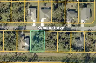 Kumquat Ave, North Port, FL 34291 - Photo 1