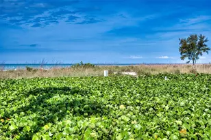 6701 Gulf of Mexico Dr, Longboat Key, FL 34228 - Photo 6
