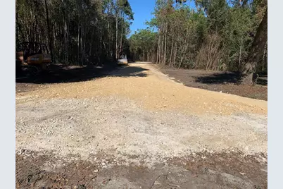 0 NW 185th Street, Citra, FL 32113 - Photo 2