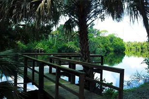 15458 Mulholland Rd, Parrish, FL 34219 - Photo 50