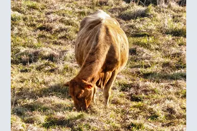 8765 Daybreak Street, Sarasota, FL 34241 - Photo 76