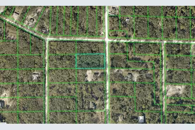 8223 Chimney Rock Drive, Ridge Manor Estates, FL 33597 - Photo 2