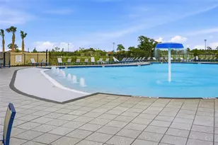 8207 Rushton Pl, Parrish, FL 34219 - Photo 60