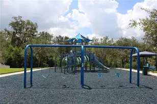11479 Walden Loop, Parrish, FL 34219 - Photo 48
