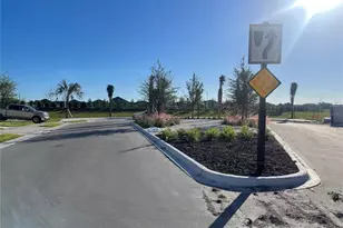 11682 Bluestone Ct, Parrish, FL 34219 - Photo 26