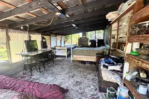 223 N Monroe Ave, Arcadia, FL 34266 - Photo 46